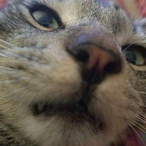 Meet your Posher, Summer